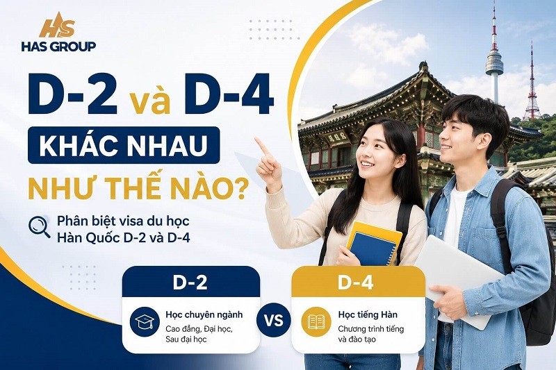 D-2 và D-4 khác nhau như thế nào? Phân biệt visa du học Hàn Quốc D-2 và D-4